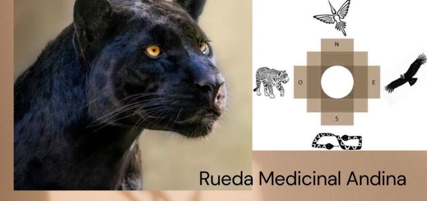 Jaguar rueda medicinal andina